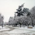 /album/octavo-xi-region/l-717-plaza-de-coyhaique-nevada-jpg/